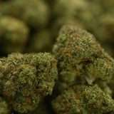 Woodwide - 4x4Z - Image 3