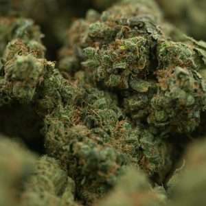 Sour Diesel
