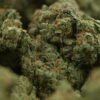 Sour Diesel