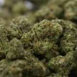 Blueberry Pancakes - Image 3