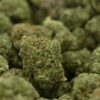 GG #4