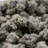 Animal Mint Cookies