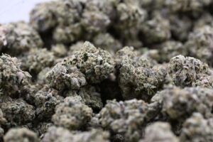 Animal Mint Cookies