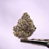 Jawbreakerz - Image 2