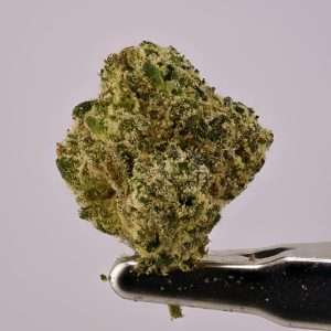 Teds Buds Smalls - King Neptune