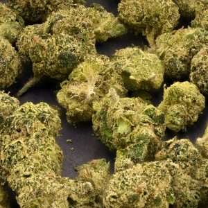 Teds Buds Smalls - King Neptune