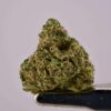 Teds Buds Smalls - King Neptune