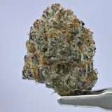 Orange Cookies - Image 2