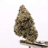 Teds Buds Bigs - Rasberry Uncrustablez - Image 2