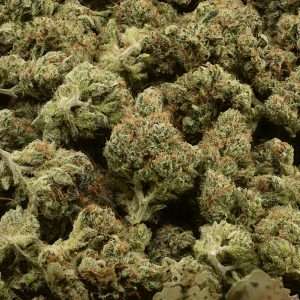 Rose Garden Smalls - SSX Sticky