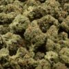 Rose Garden Smalls - SSX Sticky