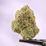 Sour Animal Cookies - Image 2