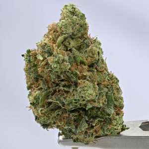 Sour Diesel