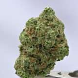 Three Kings - Image 2