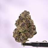 Tropicana Cookies - Image 3