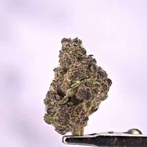 Tropicana Cookies