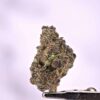 Tropicana Cookies