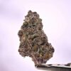 Tropicana Cookies