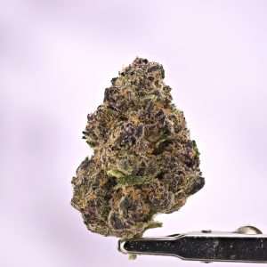 Tropicana Cookies