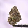 Tropicana Cookies