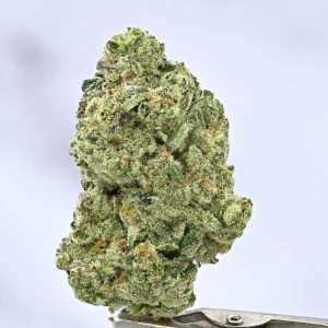 White Widow