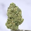 White Widow