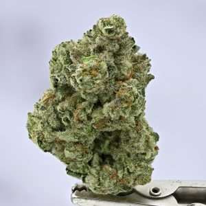 White Widow