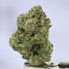 White Widow