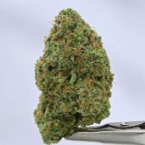 Woodwide - Zkittlez