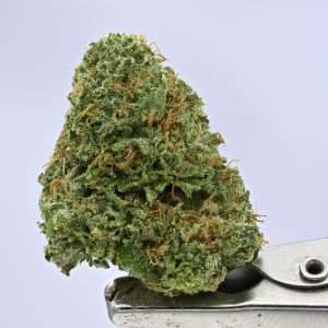 Woodwide - Zkittlez