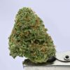 Woodwide - Zkittlez