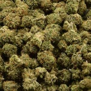 Rose Garden Smalls - Zkittlez