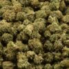 Rose Garden Smalls - Zkittlez