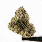 Aloha Cake - Image 2