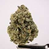 Animal Mint Cookies - Image 2