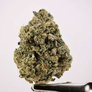 Animal Mint Cookies
