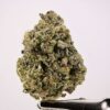 Animal Mint Cookies