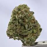 Blueberry Pancakes - Image 2