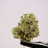 Rose Garden Smalls - Durin’s Bane - Image 2