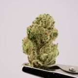 Rose Garden Smalls - Durin’s Bane