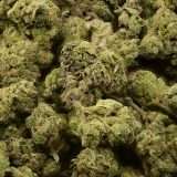 Rose Garden Smalls - Durin’s Bane - Image 3