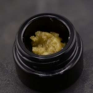 HRC T2- Oasis Fruit