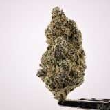 Teds Buds Bigs - Rasberry Uncrustablez