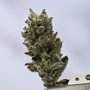 Gorilla Butter