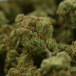 Small Batch- Super Silver Haze