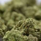 Duct Butter - Image 3