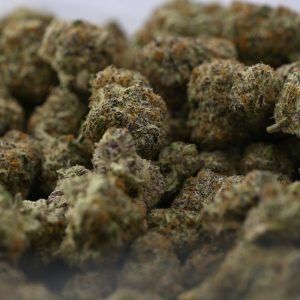 Blue Cookies
