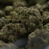 Not Your Cousins LCG - Image 3