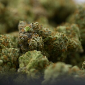 Mango Haze