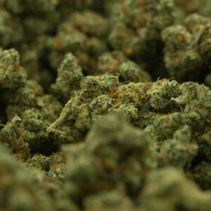 Woodwide - Dutch Treat